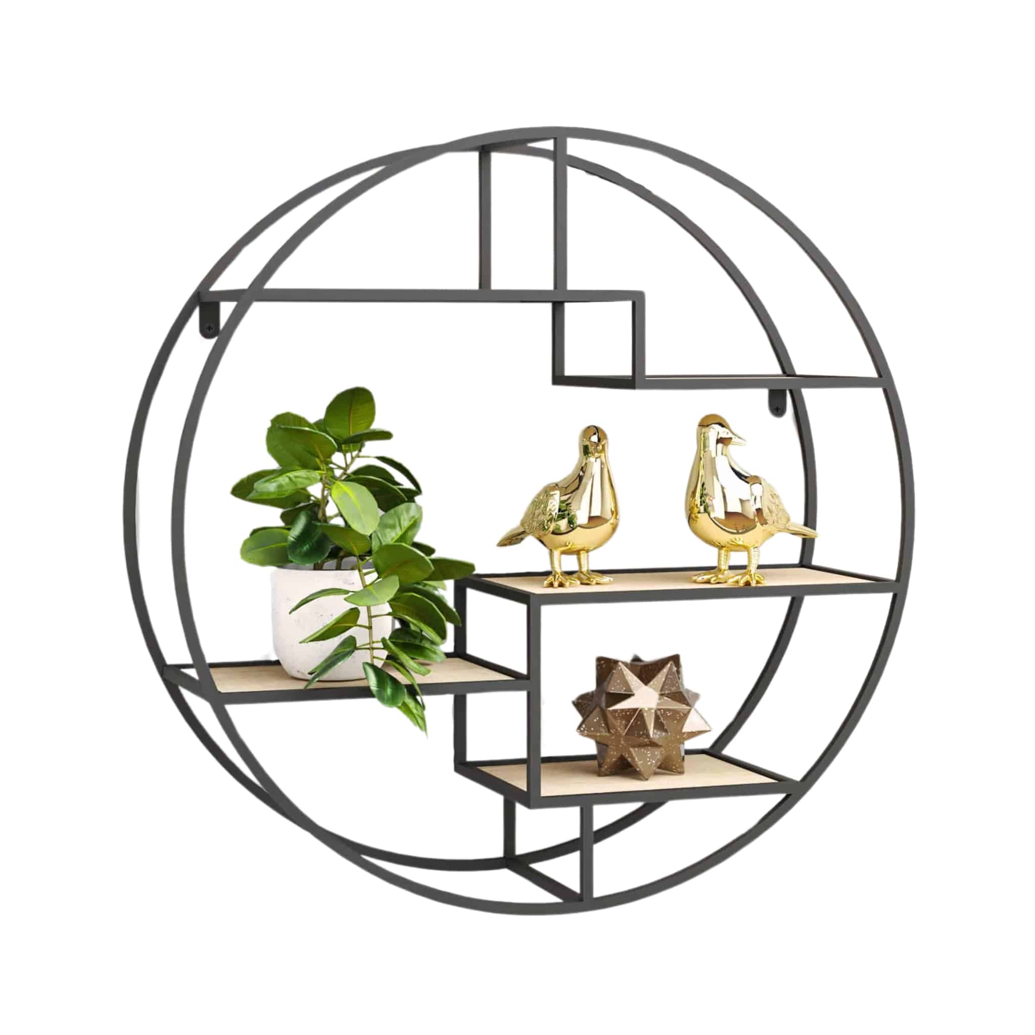 כוננית מדפים מעוצבת עיגול לקיר דגם שיר צבע שחור עם אלון